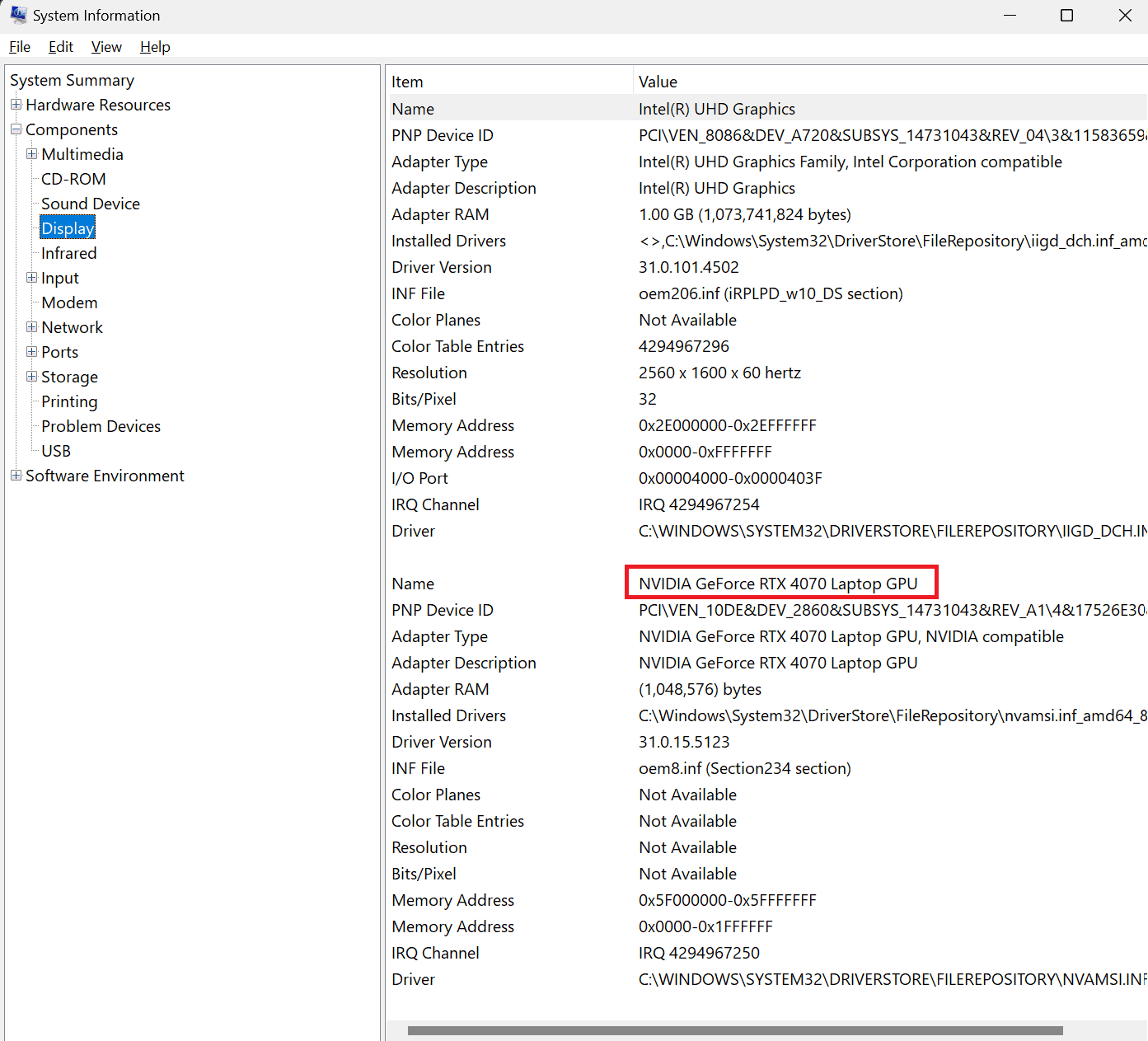 Display and GPU name