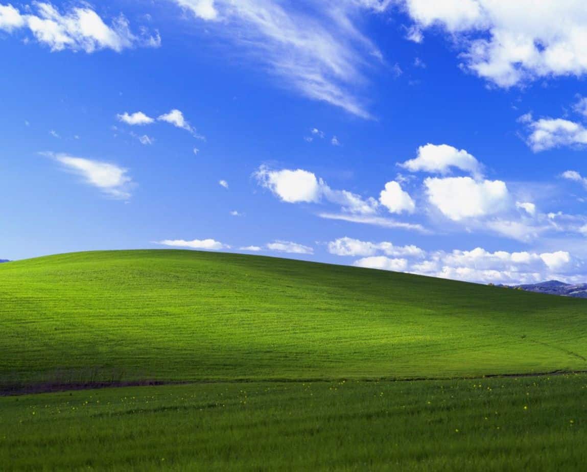 What Operating System Should You Choose?