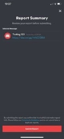 2 Reporting Someone In Discord