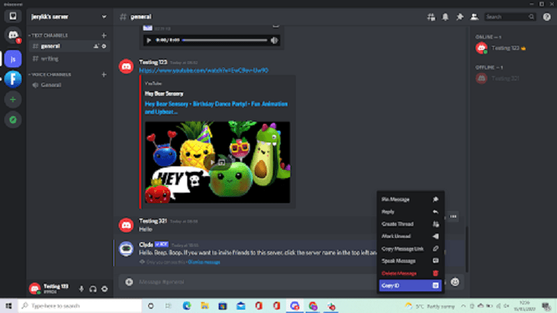How to Report a Message on Discord