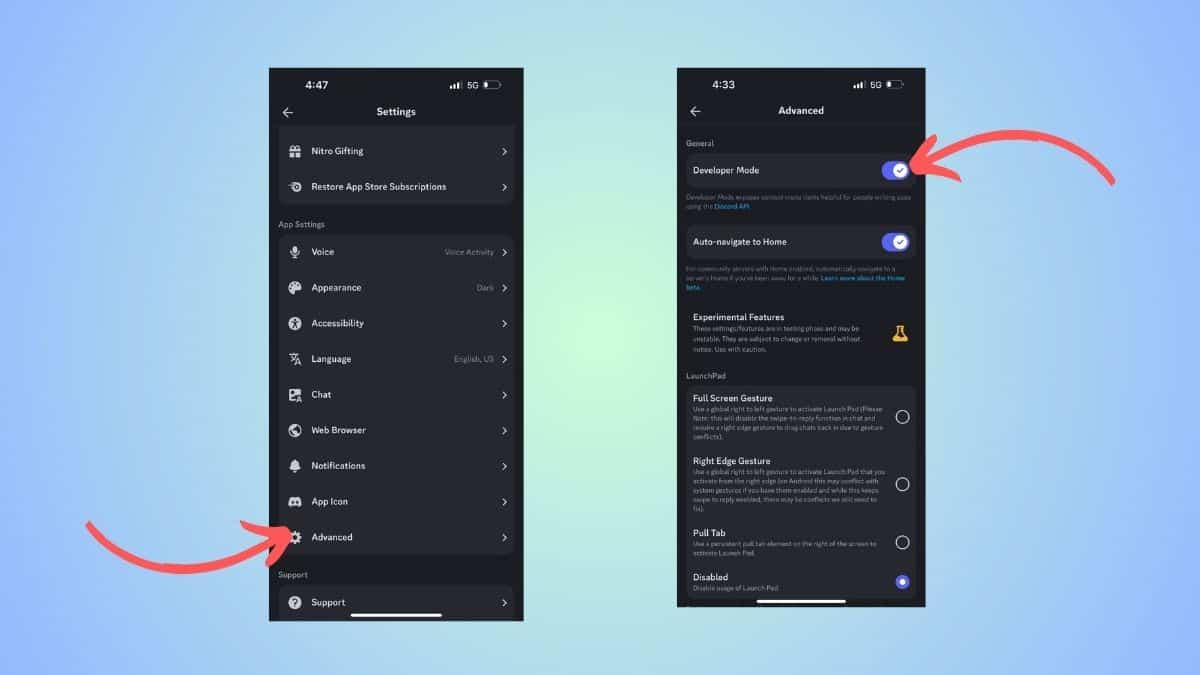 advanced settings discord
