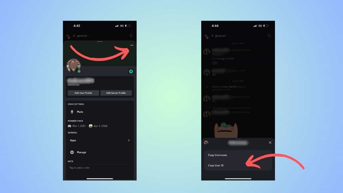 A step-by-step guide showing how to find a Discord ID from a chat application interface.