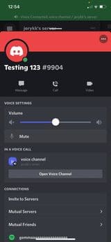 How To Mute A Member's Audio On Discord - Mobile