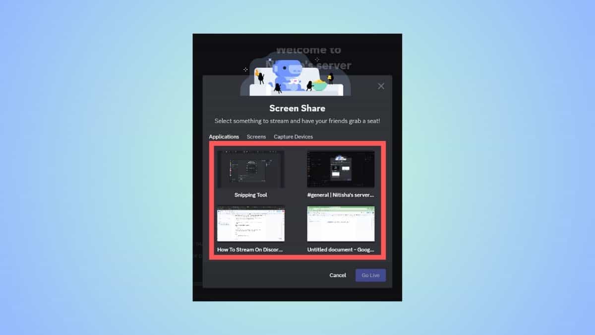 A screenshot displaying a Discord stream setup window, showing an option to select between different application windows to share.