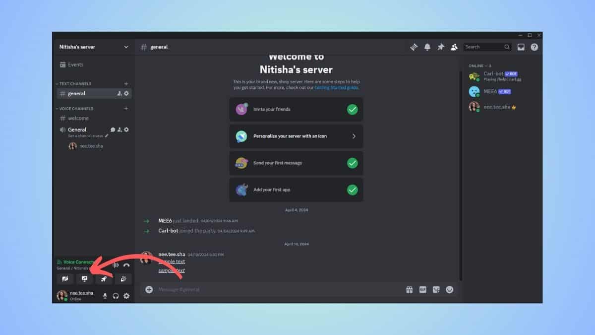 Screenshot of a Discord stream interface showing the screen share button