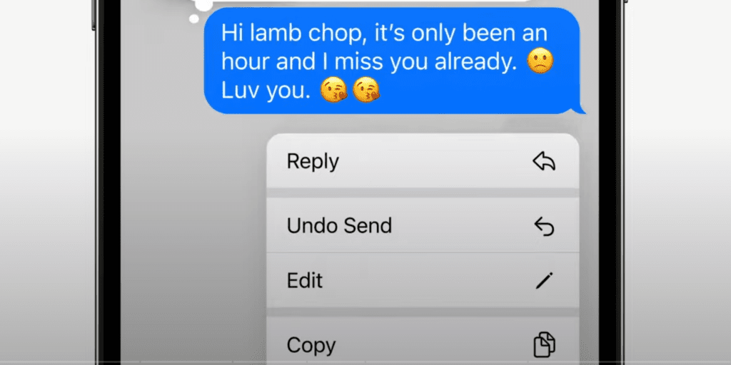 iOS 16 features - Undo Send
