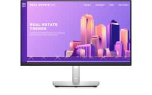Dell P2422H Best Monitor For Working From Home