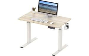 SHW OD-09D-O Best Standing Desk