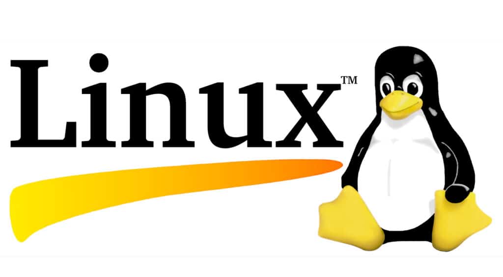 How to Check IP Address in Linux Using Different Methods