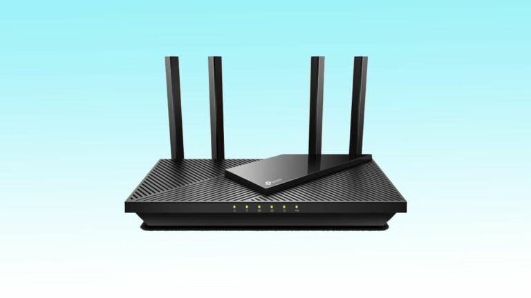 The best budget black router sits on top of a blue background.