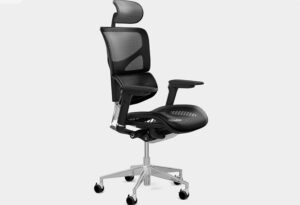 Best ergonomic Office Chair - K-Sport Mesh Management