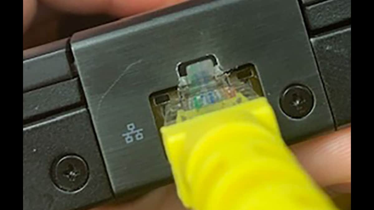Cat 7 Vs. Cat 8 What Are The Differences? PC Guide