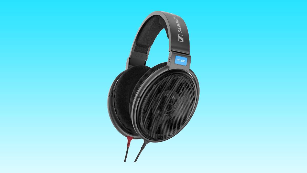 A pair of Sennheiser HD 600 headphones on a blue background.
