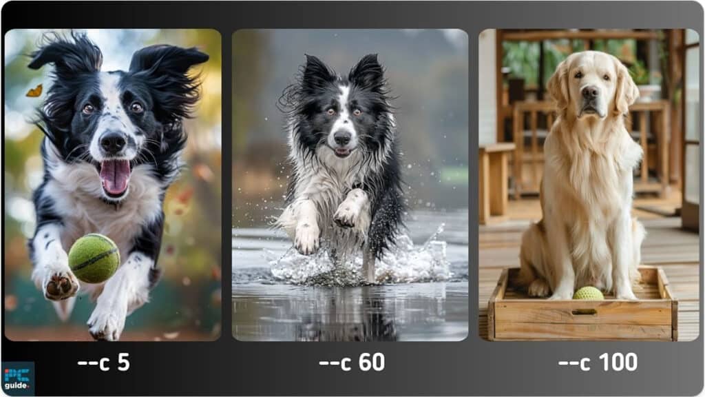 Three dogs enjoying different activities: one catching a ball, another running through water, and a third sitting calmly with a ball under its paw, unlocking secrets of their joyful midjourney.