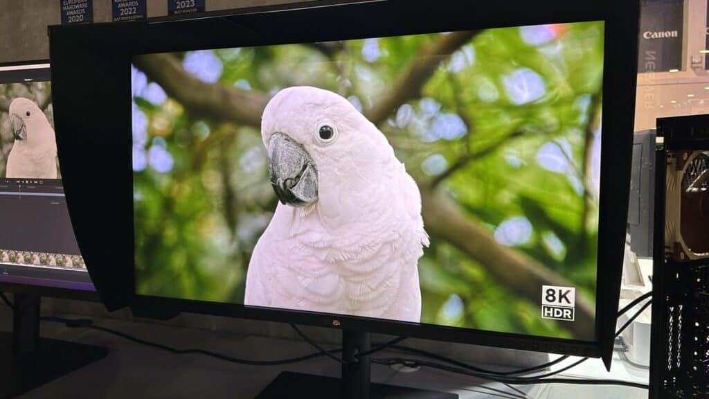 Photo of a white cockatoo displayed on a new 8K monitor, with vibrant green bokeh in the background.