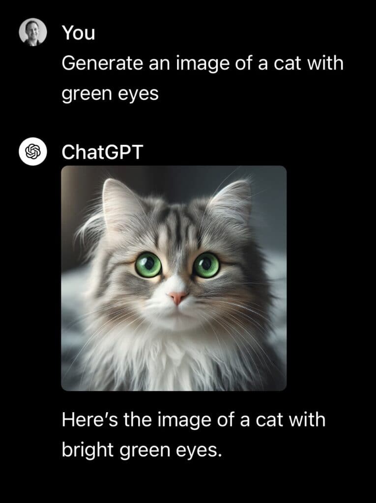Fluffy gray and white cat with striking green eyes, chosen as the mascot for the Best Chat GPT app.