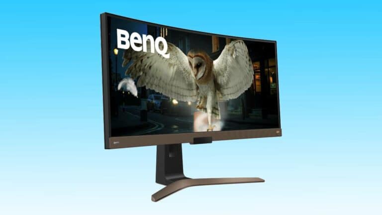 A popular BenQ computer monitor displaying an image of an owl in flight against a nighttime city street backdrop.