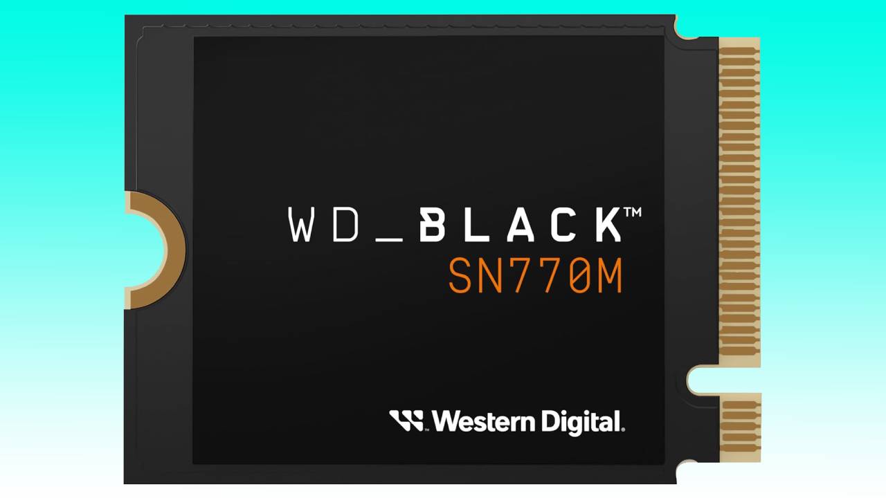 A wd black sn770m nvme ssd by western digital, depicted against a teal background with visible gold connectors on the side.