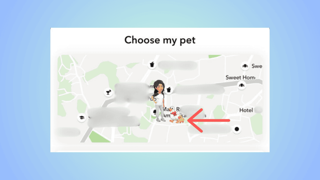 pets on map