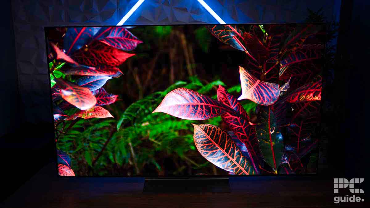 A television displaying a vivid image of vibrant, multicolored leaves. The TV has a thin bezel and is set against a dark background with a blue light accent. "PC Guide" and "LG C4 OLED review" are visible in the bottom right corner.