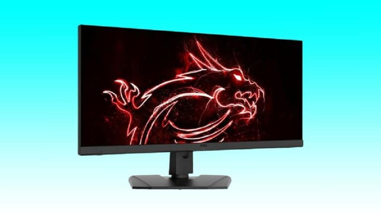 Computer monitor displaying a vibrant red dragon graphic on a blue background.