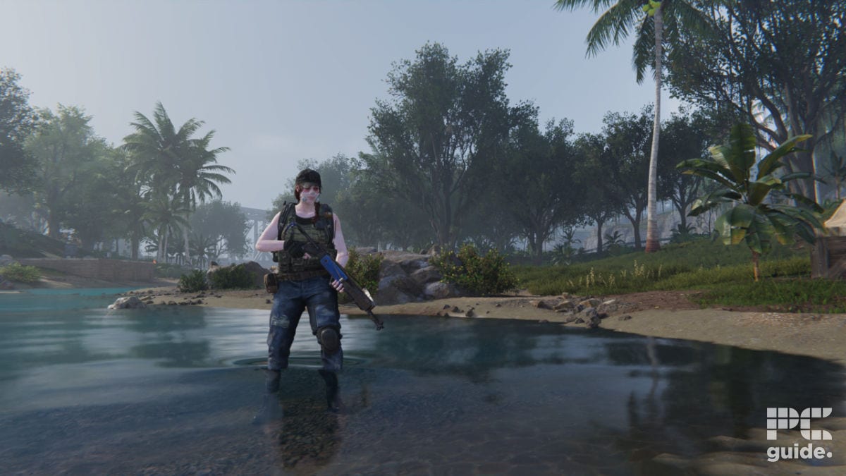 Our graphics settings for Once Human on PC