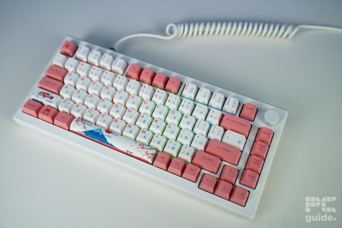 AKKO MOD007B Tokyo top down and cable, Image by PC Guide