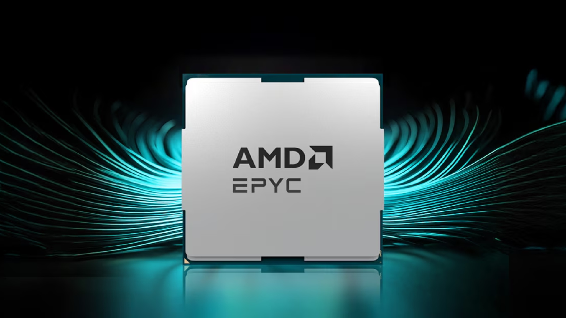 No, AMD and Intel aren’t 50/50 in server CPU market share, but AMD is definitely closing the gap